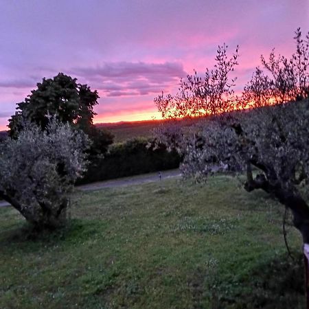 L'Orto Sul Poggio Bed & Breakfast Sutri Exterior foto