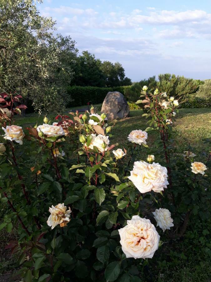 L'Orto Sul Poggio Bed & Breakfast Sutri Exterior foto